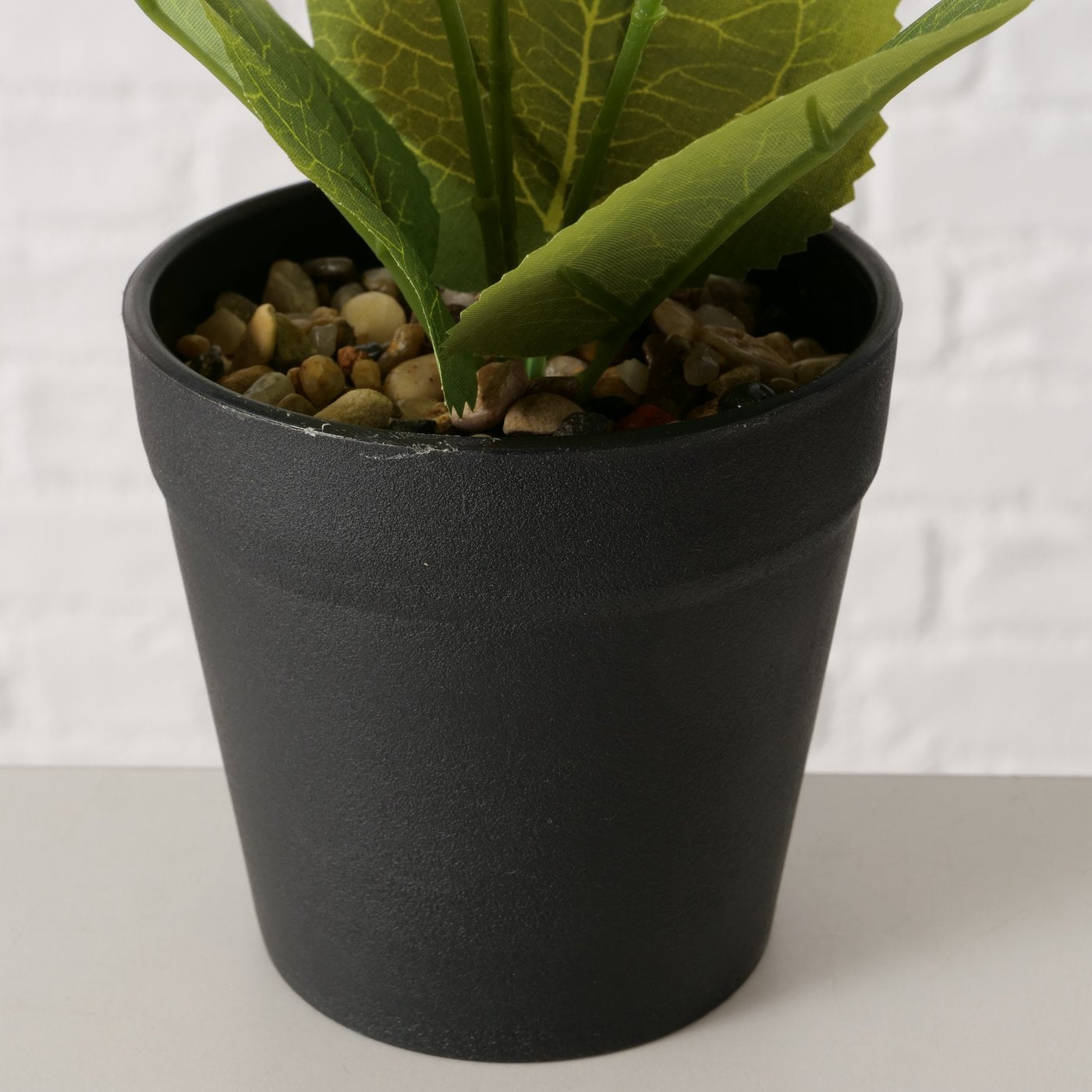 Topfpflanze Sonnenblume