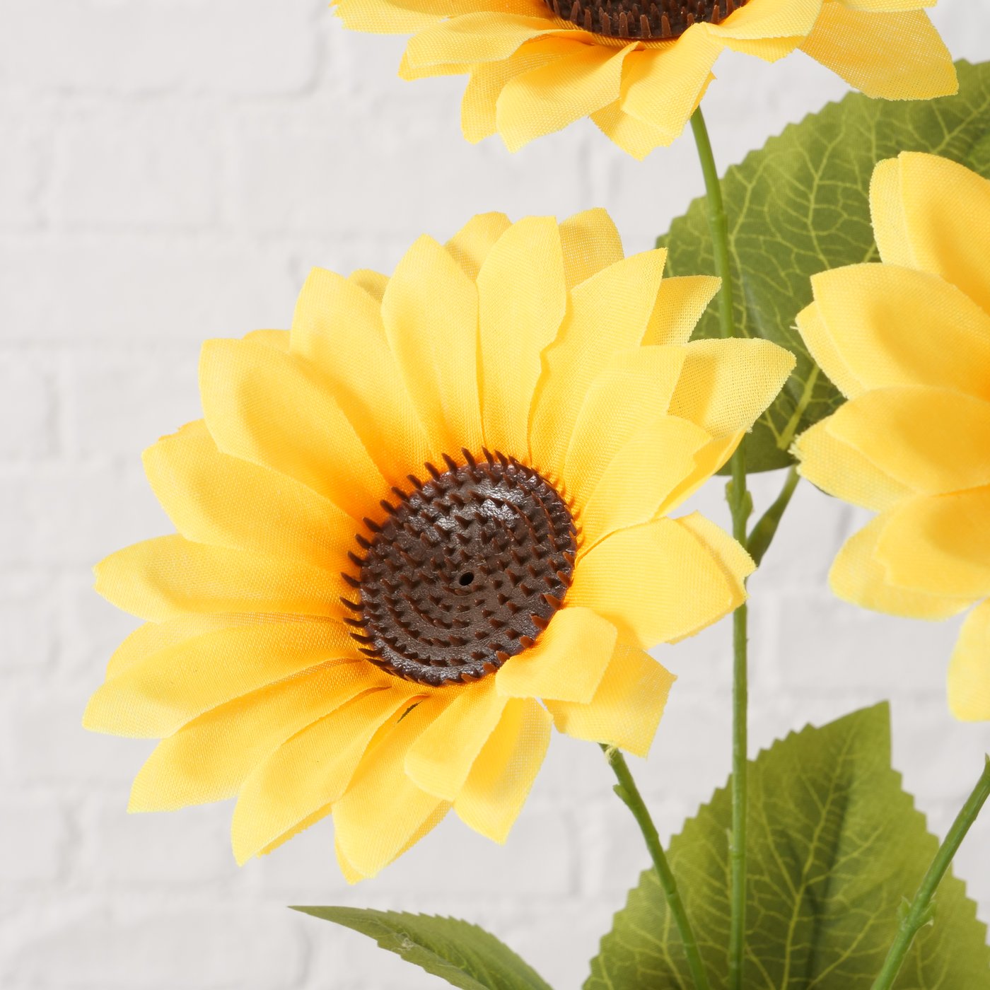 Topfpflanze Sonnenblume