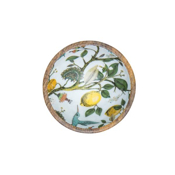 Mangoholz Schale "Lemon Bird"