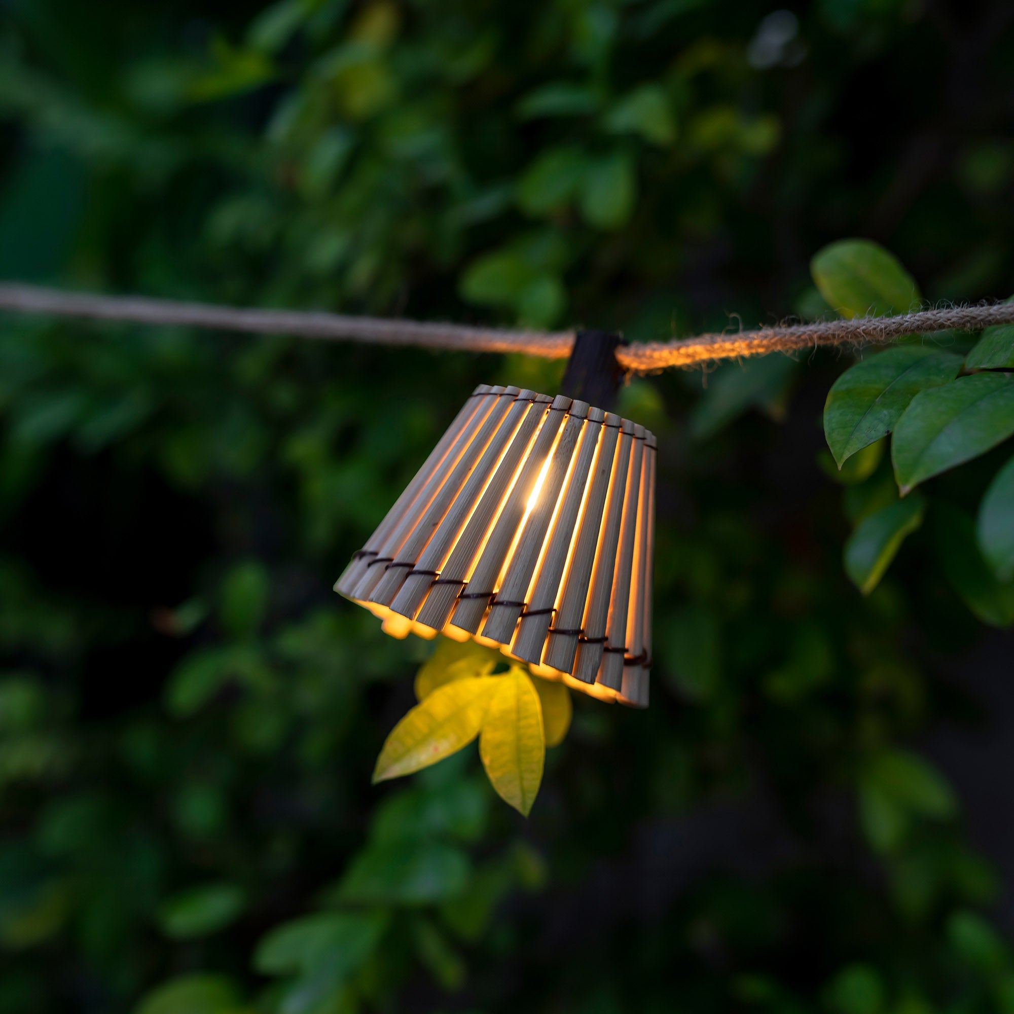 Bambus Lichterkette Noriban