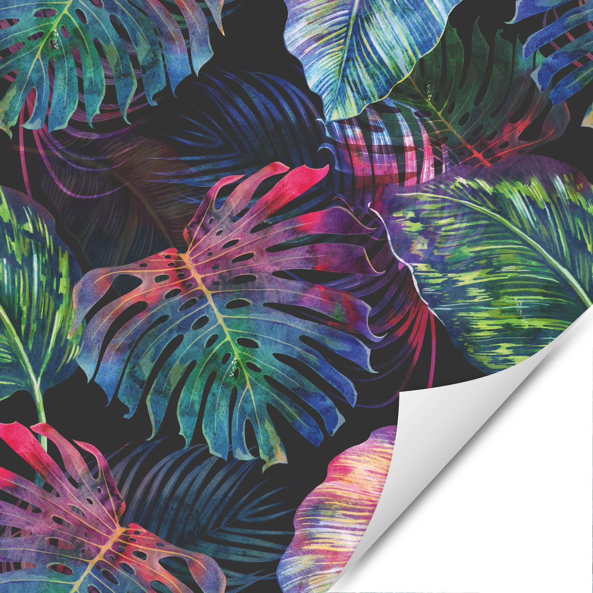 Möbelfolie Farbenfrohe Monstera