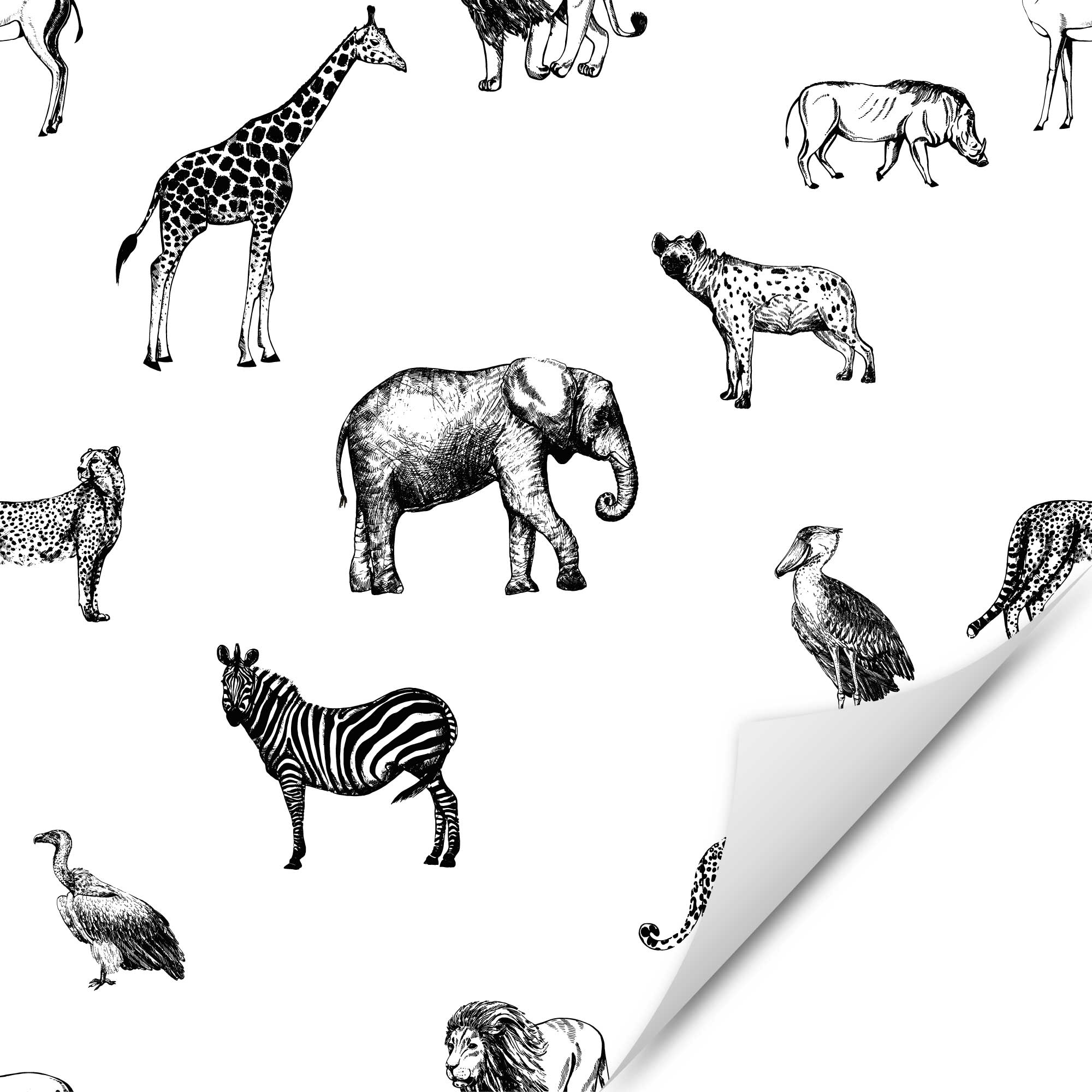 Möbelfolie Zootiere Illustration